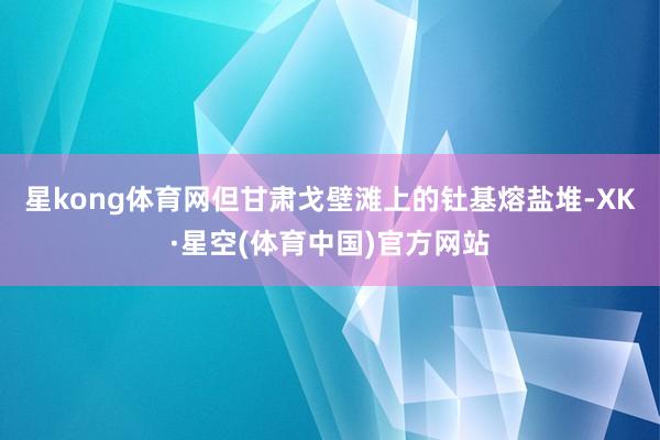 星kong体育网但甘肃戈壁滩上的钍基熔盐堆-XK·星空(体育中国)官方网站