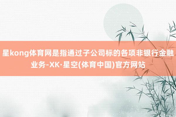 星kong体育网是指通过子公司标的各项非银行金融业务-XK·星空(体育中国)官方网站